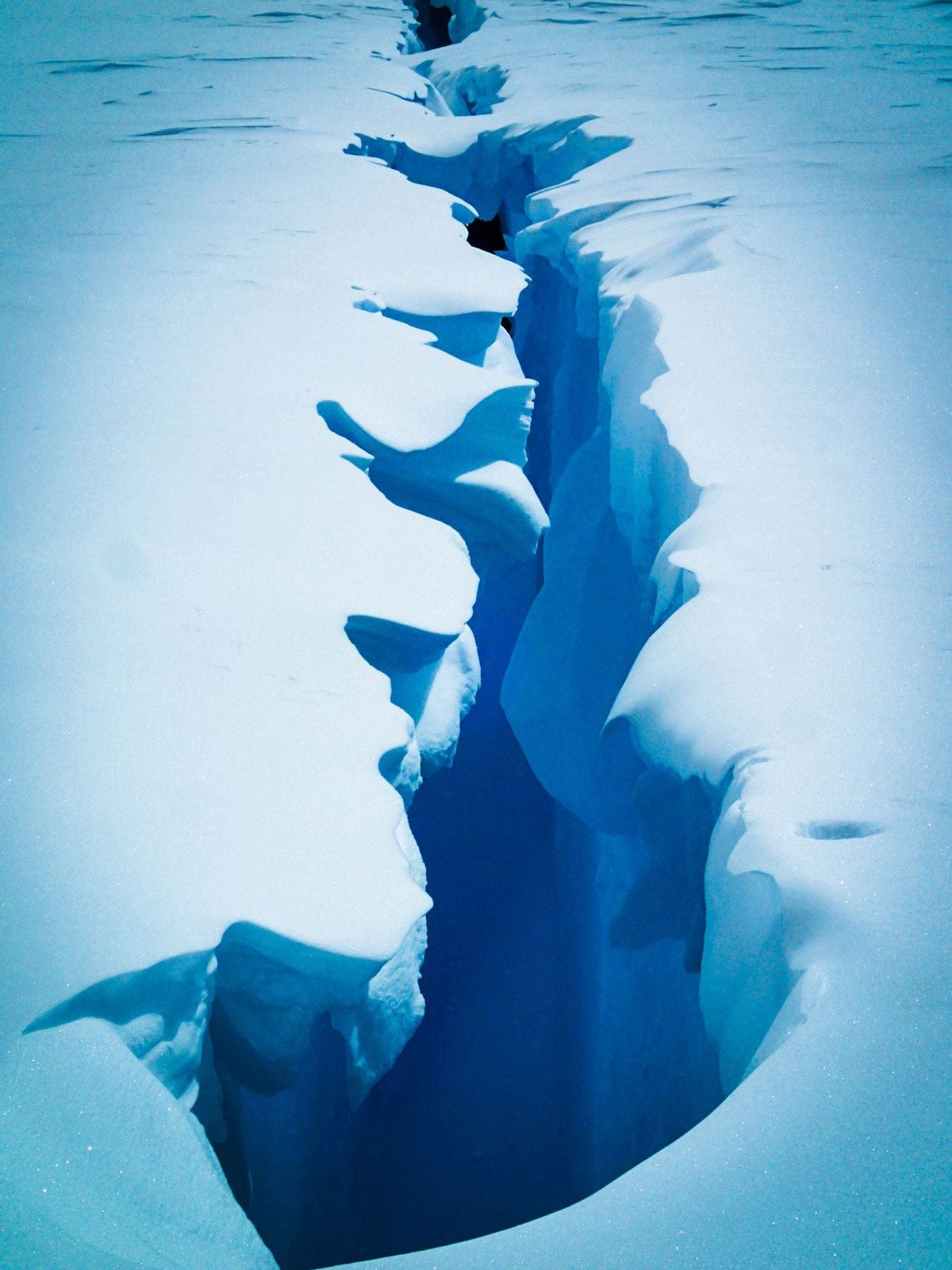 Photo from Denali 6194m