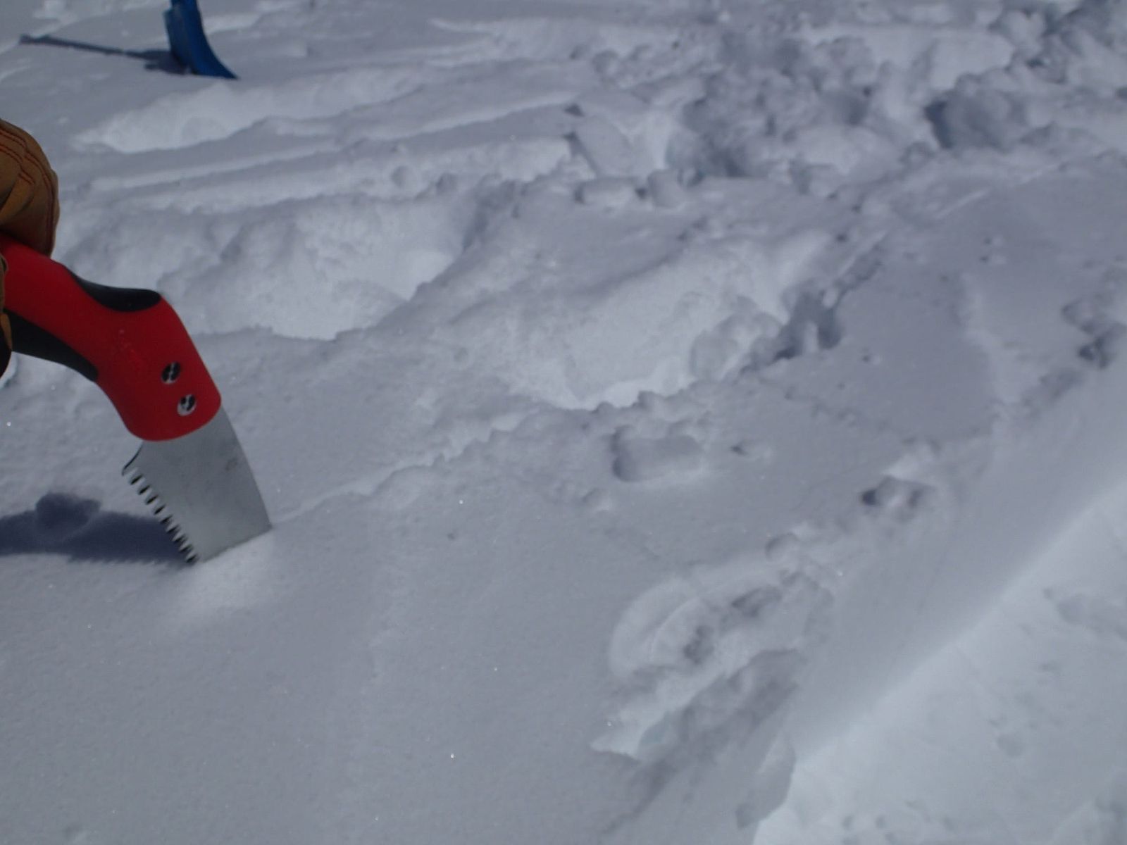 Photo from Denali 6194m