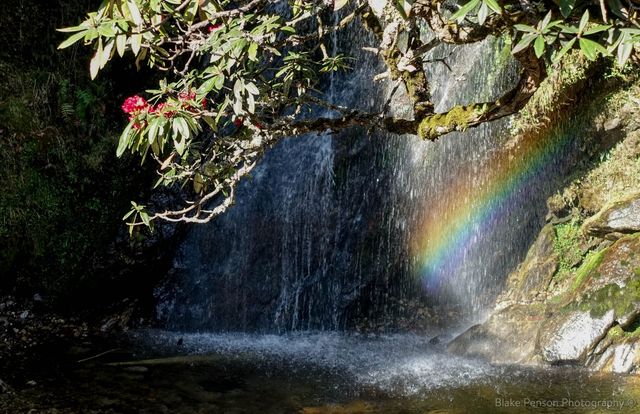 A rainbow caught in a waterfall
