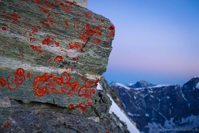 Matterhorn climb – extremophiles