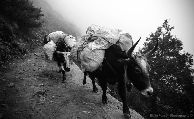 Photo from Lukla to Kyangjuma