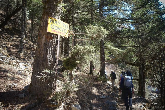 Photo from Lukla to Kyangjuma