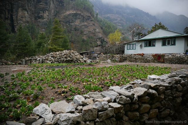 Photo from Lukla to Kyangjuma