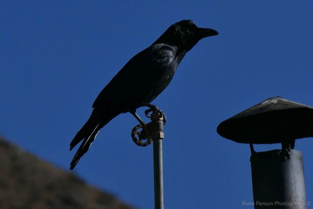 Photo from Lukla to Kyangjuma