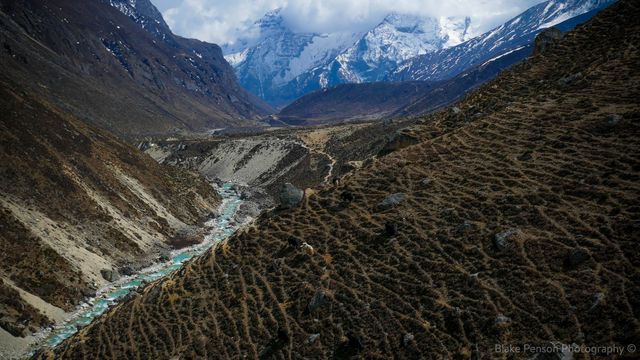 Yaks above Marylung