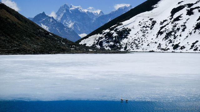 Love birds in Gokyo