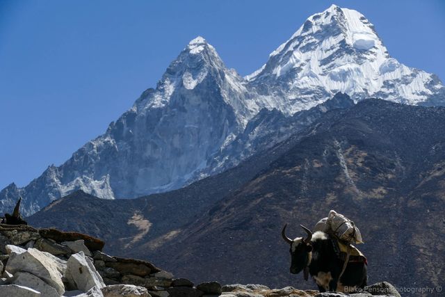 Great views of Ama Dablam on the way from Pangboche to Dingboche
