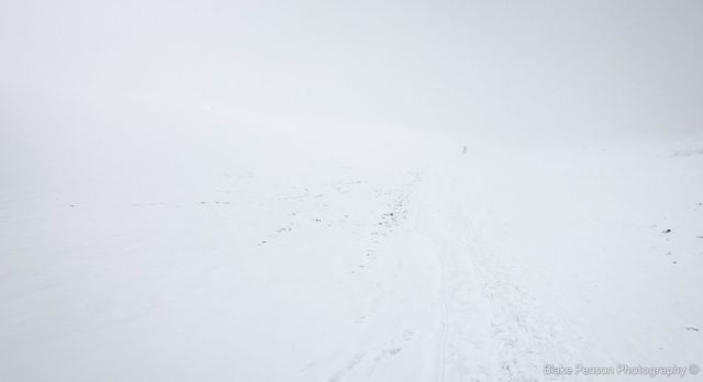The views in the CWM that morning (The trail on the left is for walking, the trail on the right is for dragging bodies)